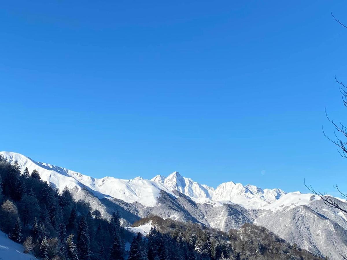 Pleine Nature Pied Pistes Piscine Chauffee Ustou Exterior foto