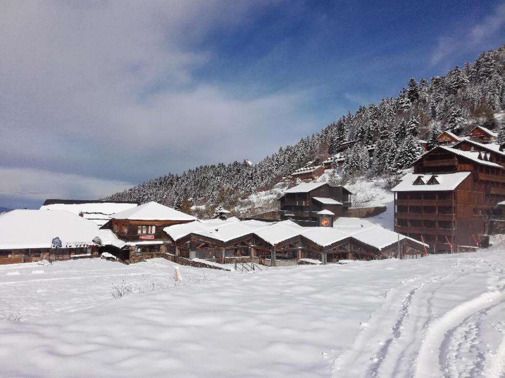 Pleine Nature Pied Pistes Piscine Chauffee Ustou Exterior foto